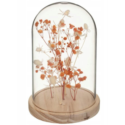 copy of  ATMOSPHERA - 1